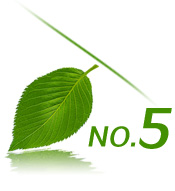 No.5